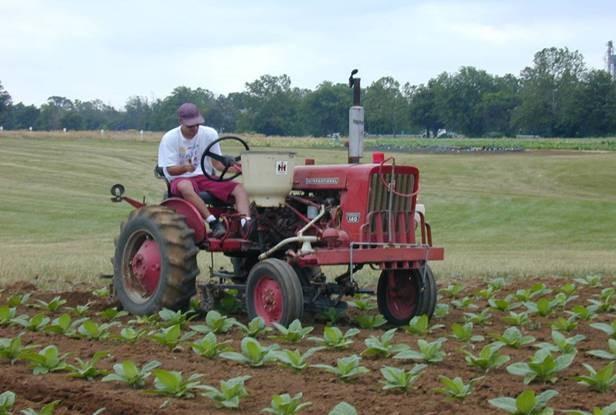 Man on tractor